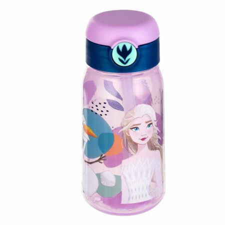 Sticlă de apă și Bidoane - Sticle Apa Copii, Gradinita si Scoala, 500 ml cu Pai, Frozen