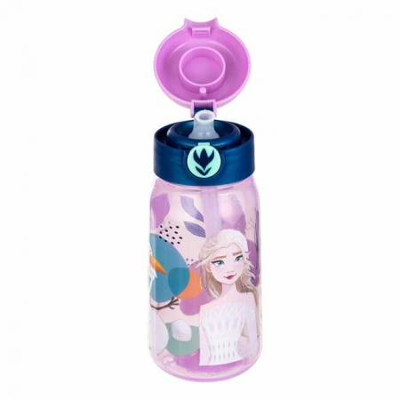 Sticle Apa Copii, Gradinita si Scoala, 500 ml cu Pai, Frozen [3]