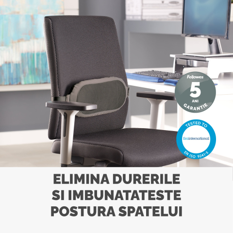 Suport ergonomic pentru spate i-spire fellowes [2]