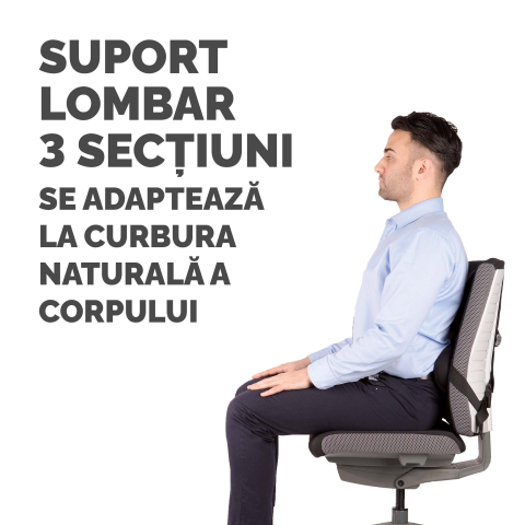 Suport ergonomic pentru spate pro series ultimate fellowes [4]