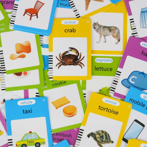 Tableta 2 in 1, Cititor de carduri pentru invatarea vocabularului in limba engleza, 112 Carduri si Desene, Fade Blue [8]