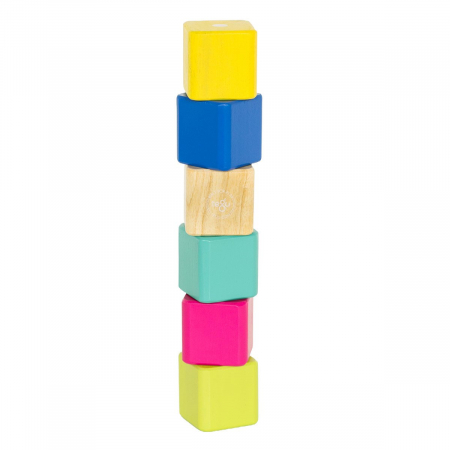 Tegu Baby 6, primele blocuri din lemn magnetic, 6 buc., 1-3 ani [2]