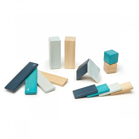 Tegu Blues, set 14 piese din lemn magnetic, 1-10 [5]