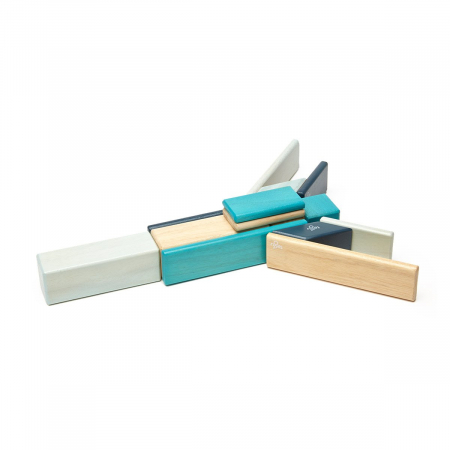 Tegu Blues, set 14 piese din lemn magnetic, 1-10 [4]