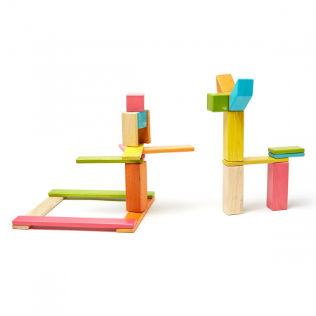 Tegu Tints, set 24 piese din lemn magnetic, 1-10 [1]