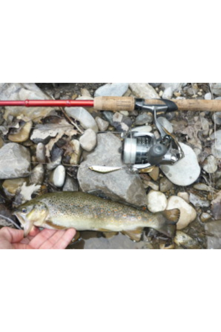 Vobler Smith D Contact 50mm 4.5g G1 S D Contact 50mm 4.5g G1 [3]