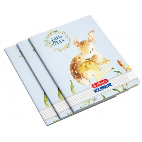 Caiete pentru Scoala: A4, A5, Dictando si Matematica - Vocabular 24 file Herlitz