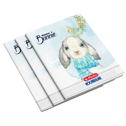 Jucării și Jocuri pentru copii - Vocabular Herlitz, 24 file, diverse motive, 9481040