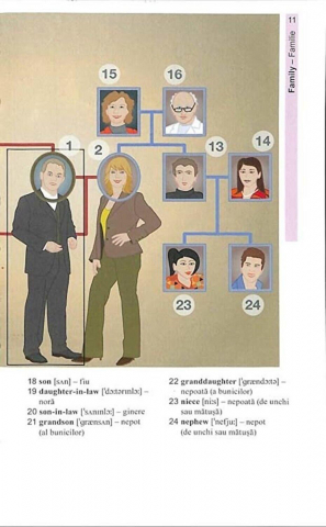 Vocabularul de baza in imagini - Limba engleza [11]