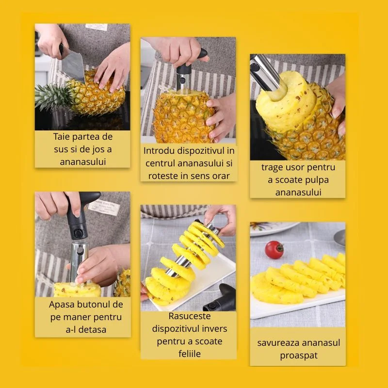 Dispozitiv feliator si curatator ananas [10]