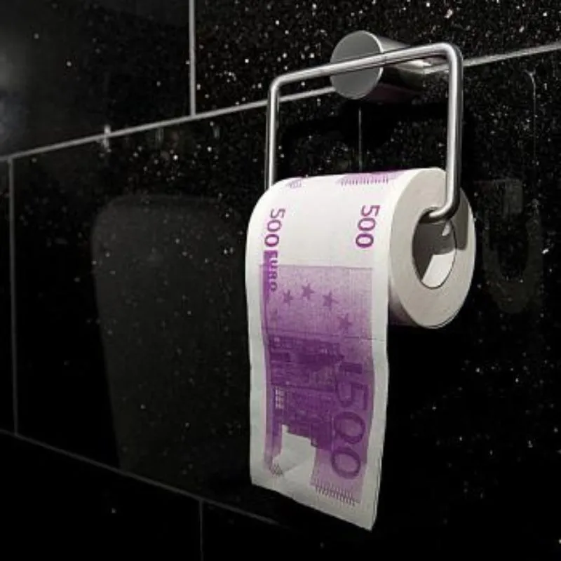 Hartie Igienica 500 Euro