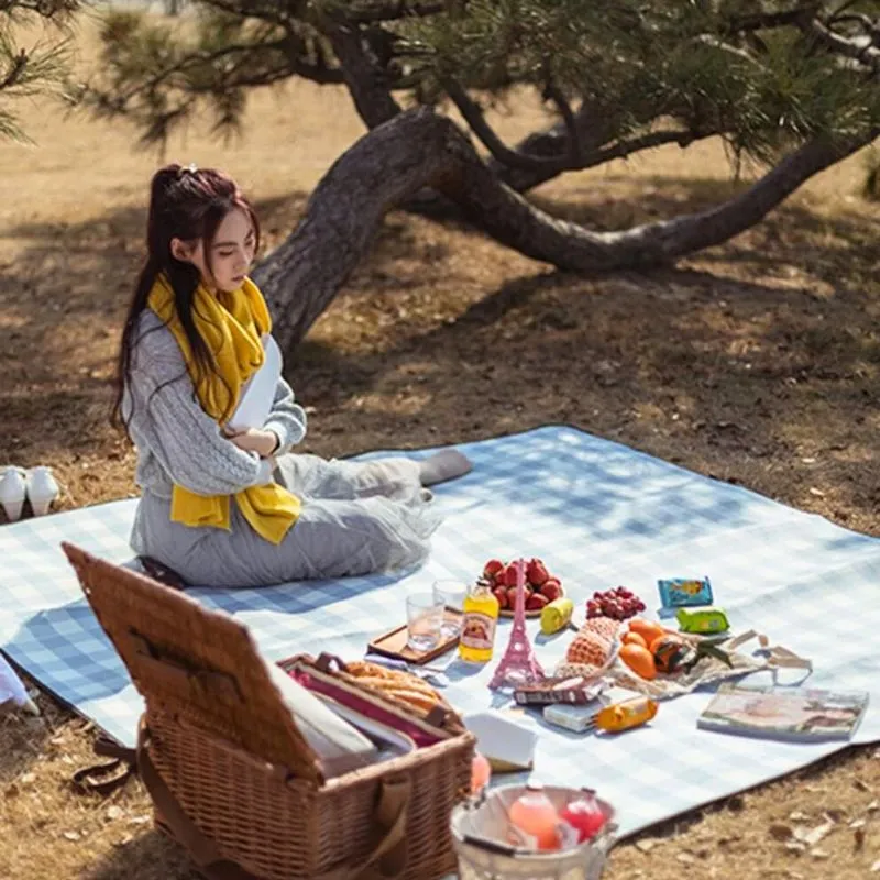 Patura de picnic cu maner din piele ecologica [4]