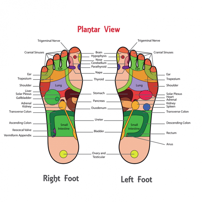 Pres masaj picioare reflexoterapie [3]
