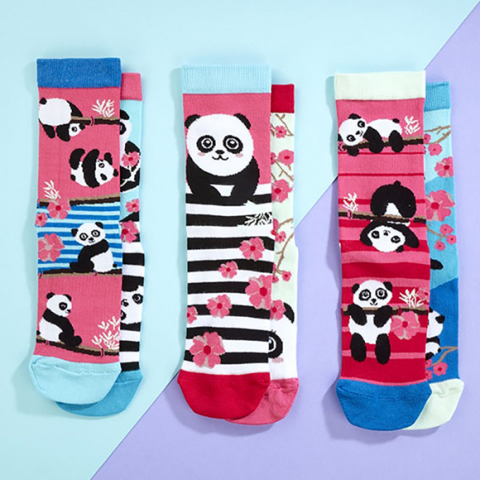 Set 6 sosete colorate Panda Bamboozle [2]