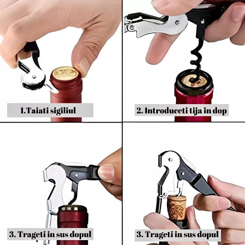Set accesorii vin, 4 piese, cutie cadou [8]