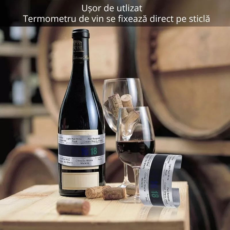 Termometru vin Brau metalic [17]