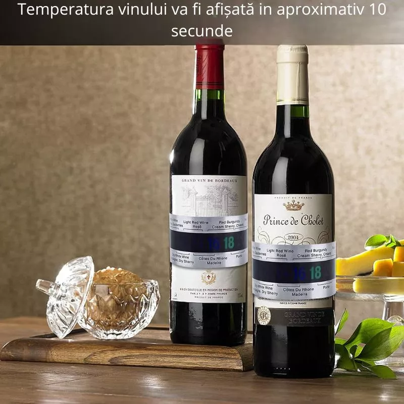 Termometru vin Brau metalic [3]