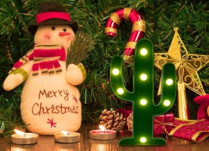Lampa de Veghe LED Cactus [7]