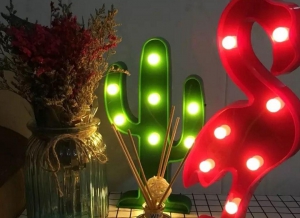 Lampa de Veghe LED Cactus [2]