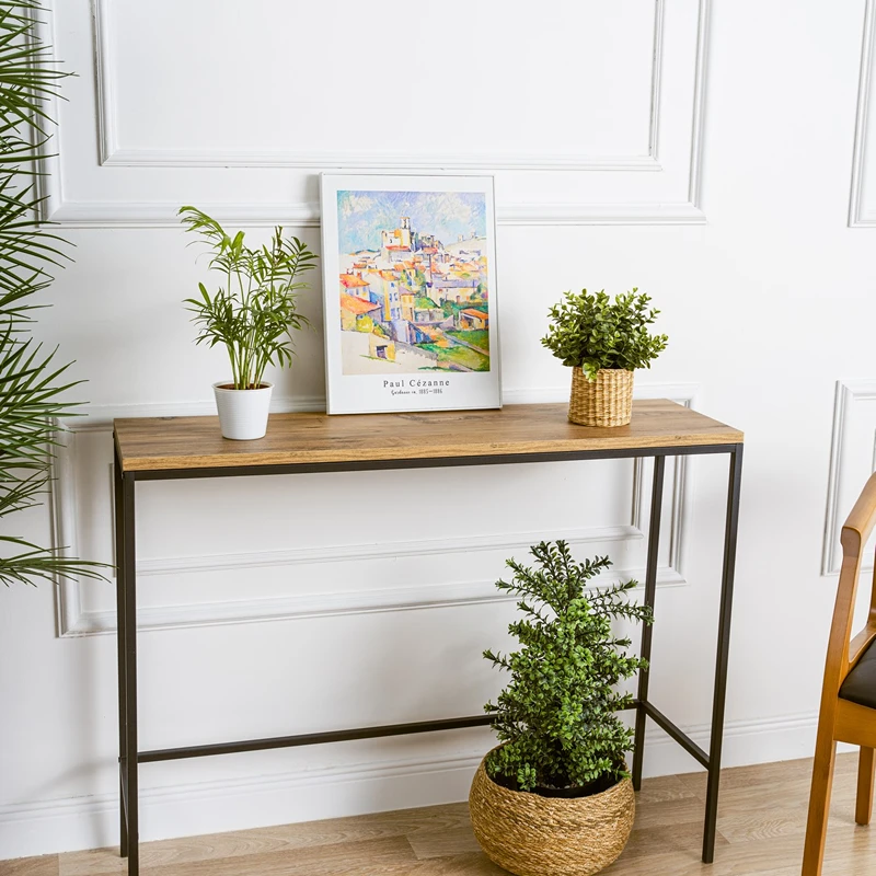 Comoda Canvas pin, structura metalica, design modern [0]