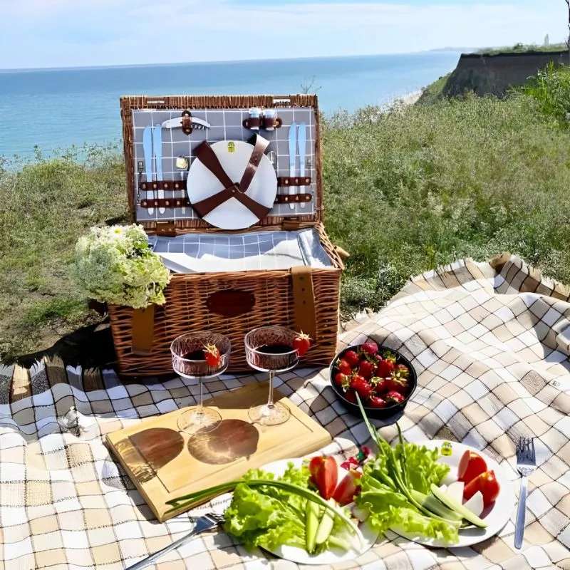 Cadouri - Cos picnic 4 persoane Concorde