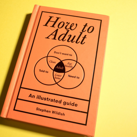 Cadouri Majorat - Ghid de viata ilustrat How to adult