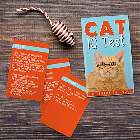 Cadouri pentru Iubita - IQ Test pentru pisici