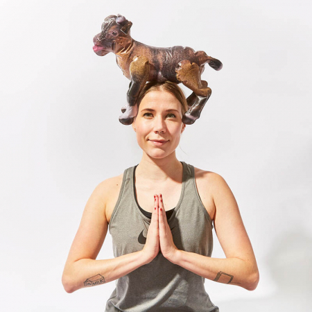 Jocul petrecerii YOGA Goat [2]
