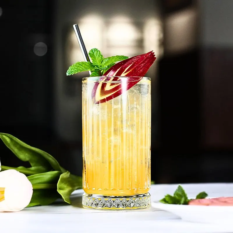 Petrecere - Pahar de sticla Long Drinks