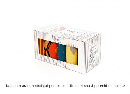 Set 5 perechi sosete colorate Artistice [7]