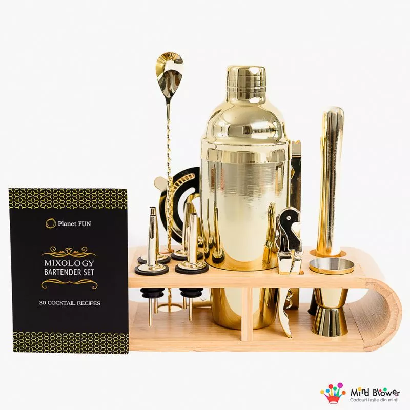 Set cadou Cocktail Shaker Mixology cu 11 accesorii 750ml Gold [24]