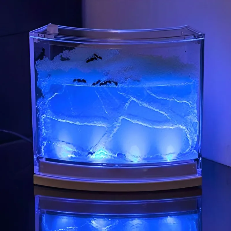 Cadouri Copii - Terariu pentru Furnici cu Iluminare LED