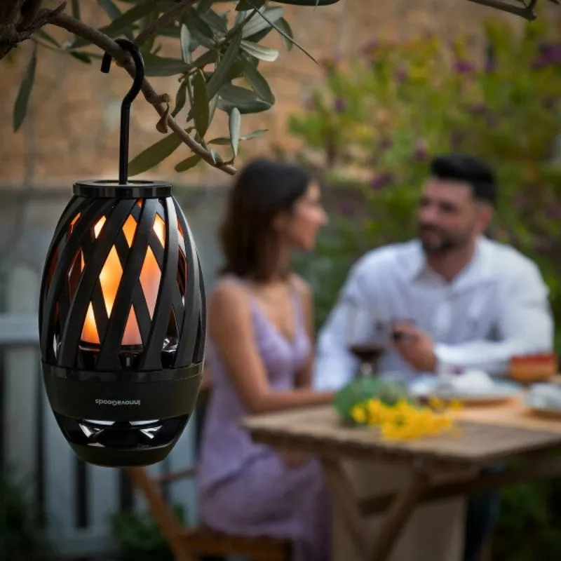 Torta muzicala pentru distractie outdoor [2]
