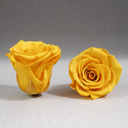 Cadouri pentru Iubita - Trandafir criogenat galben Giftbox