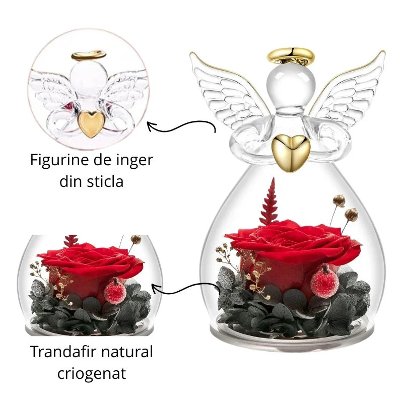Trandafir criogenic cu Inger pazitor [11]