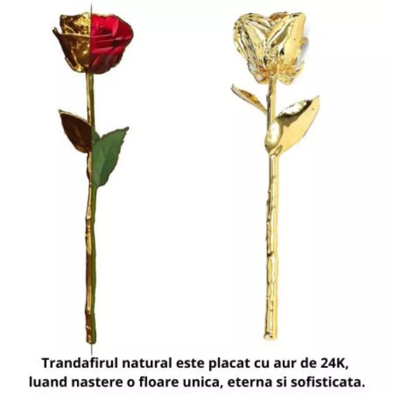 Trandafir placat cu aur de 24K [10]