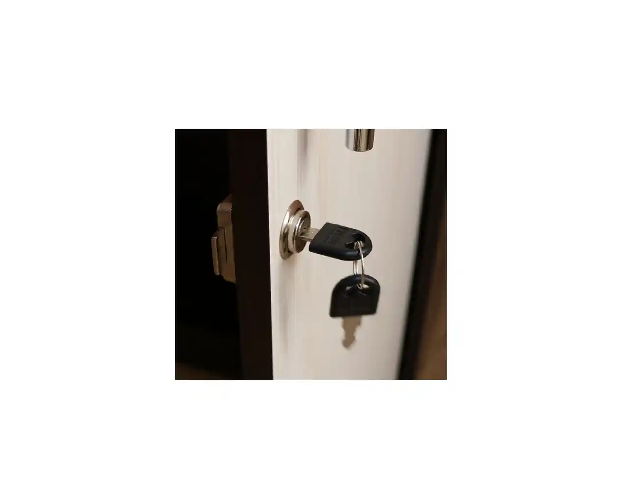 Mobilier de Birou – Comodă pentru Documente cu 2 Uși [3]