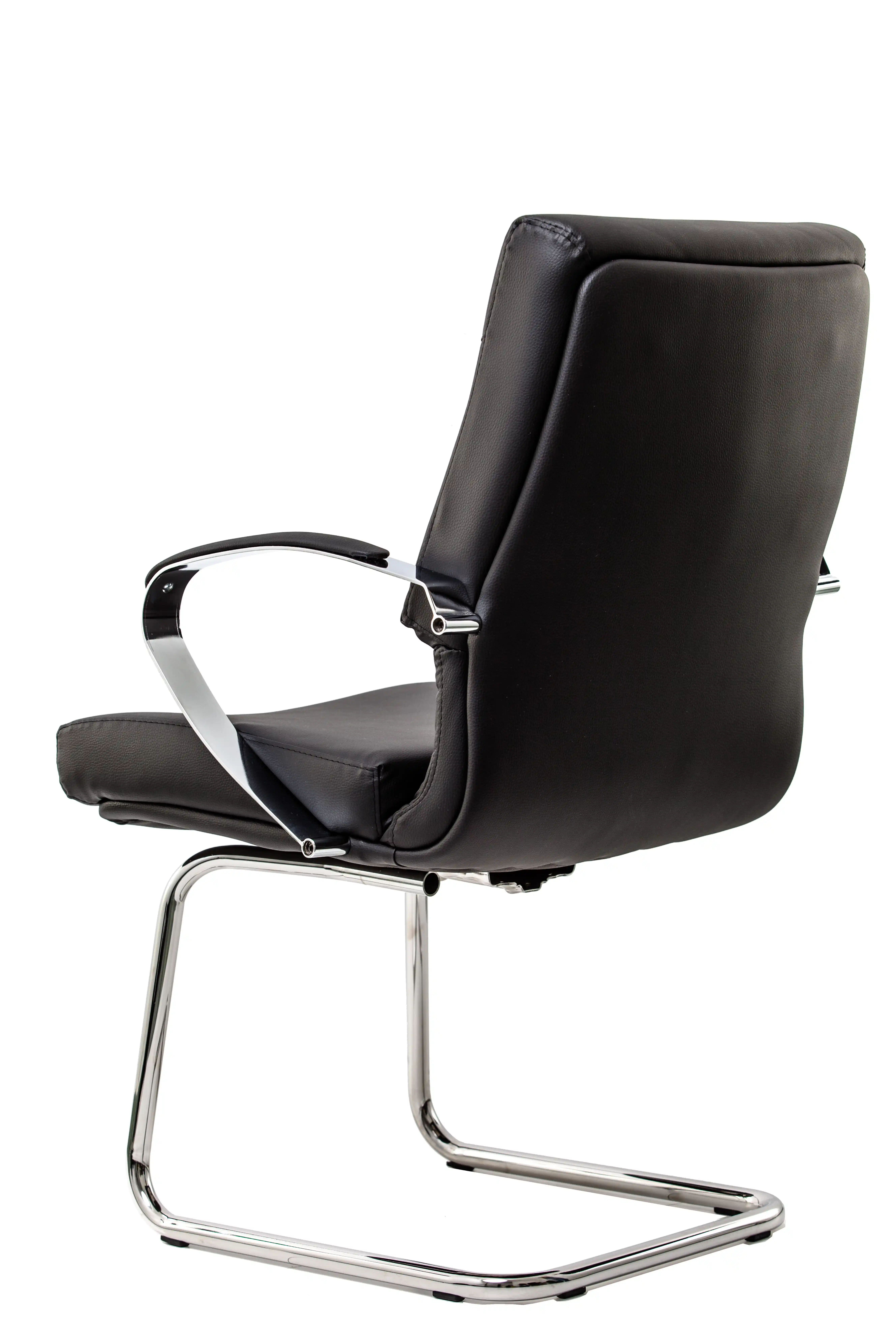 sacun- consiliu-piele-neagra [2]