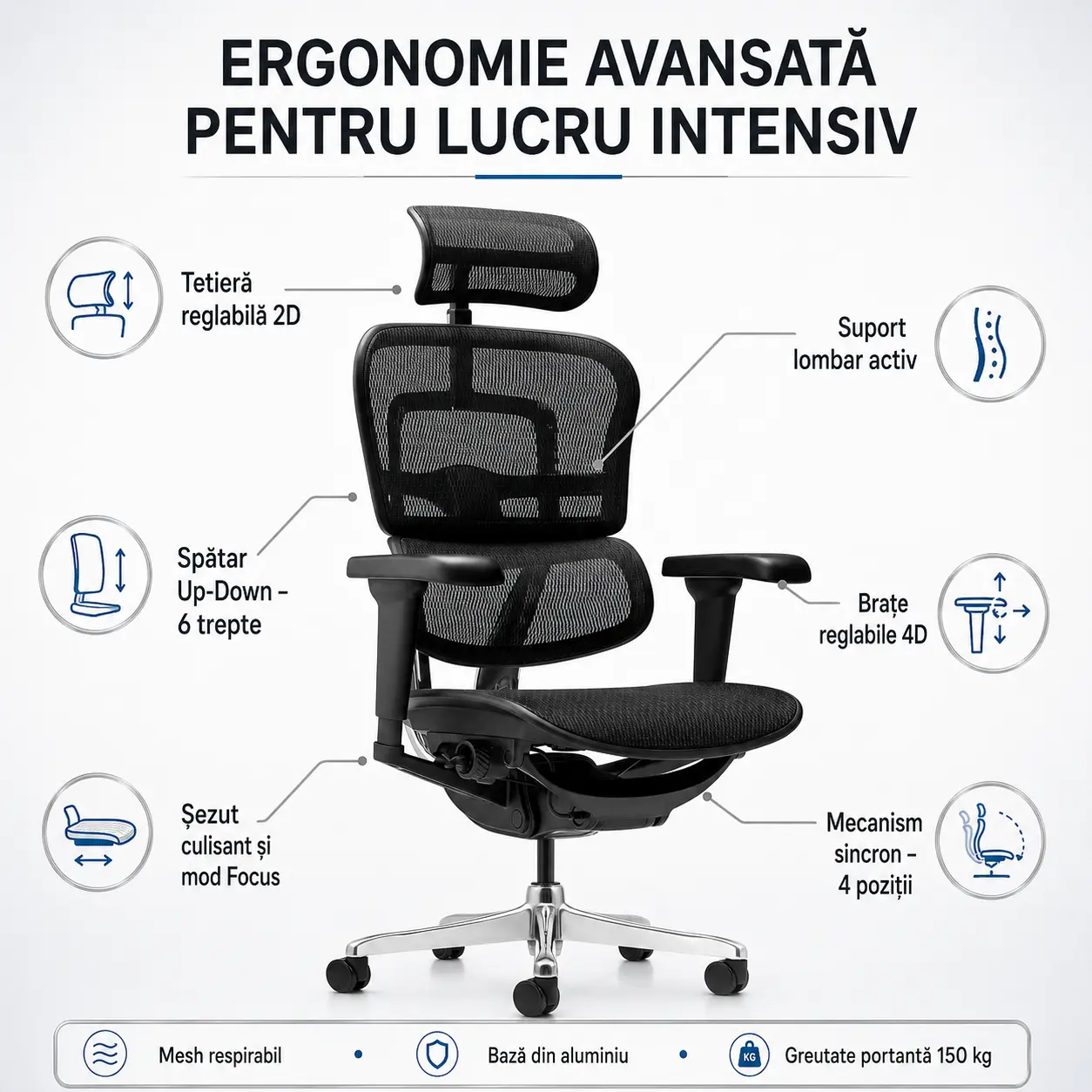 Scaun managerial Ergohuman – ergonomic și confortabil pentru birou [3]
