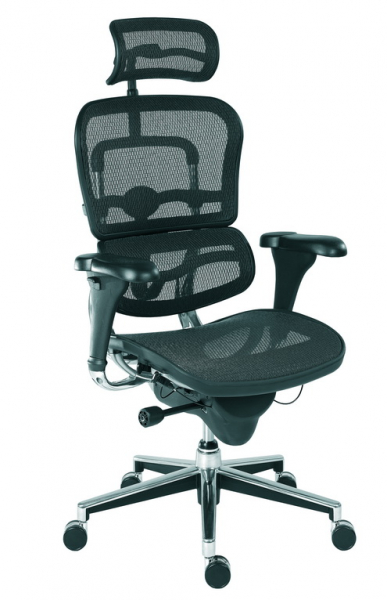 scaun-managerial-ergohuman [2]