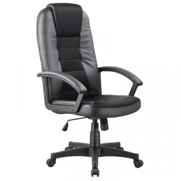 Scaun directorial SL Q019 [2]