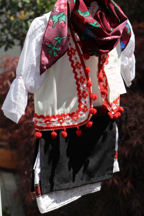 Costum Traditional Popular [1]