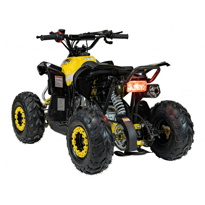 ATV 110cc, Renegade, pana la 50kmh, atv pentru copii, Galben [5]