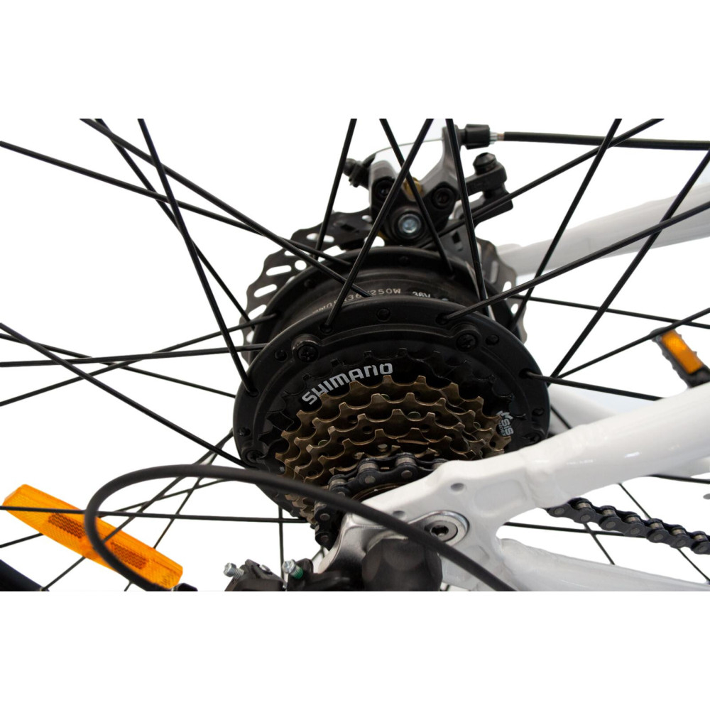 Bicicleta electrica RDB T7, 250W, autonomie 30 - 40 km, 25km/h, 36v, 10.4 Ah, Alb [3]