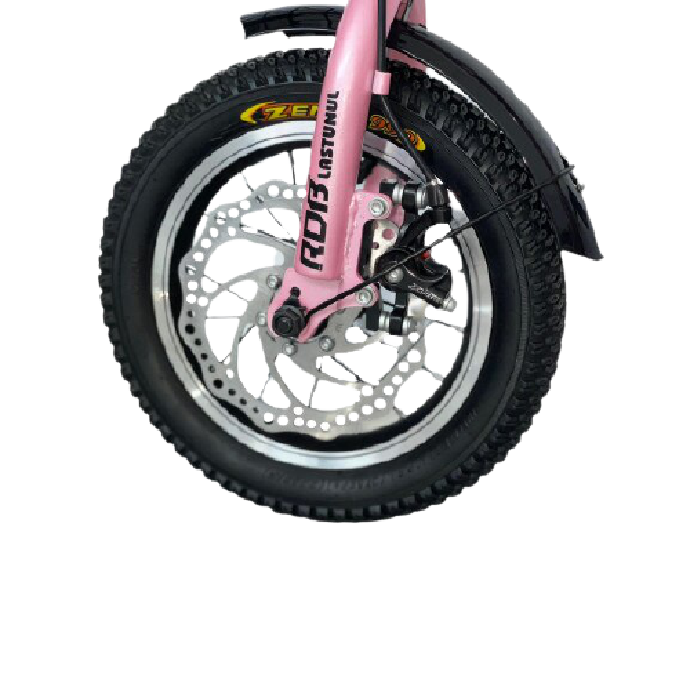 Bicicletă copii RDB Lăstunul 12 inch [3]
