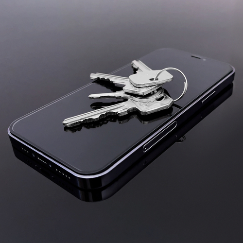 Folie sticla iPhone 11 Pro Max / iPhone XS Max black  Wozinsky [3]