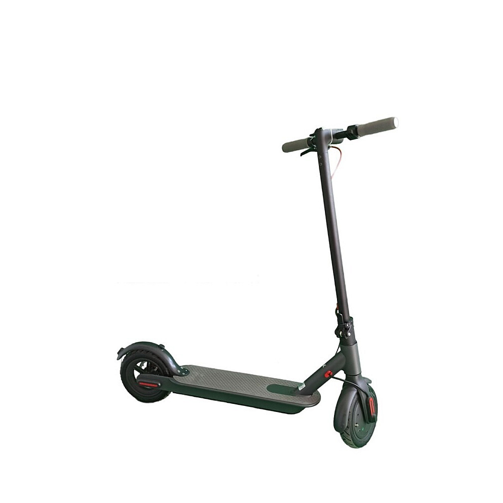 Trotineta electrica RDB , 350W [5]