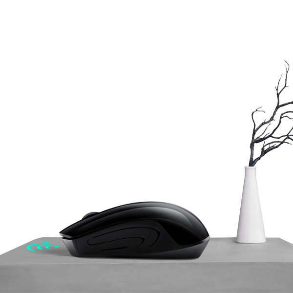 Mouse fara fir Loshine G50, Wireless, Black [5]