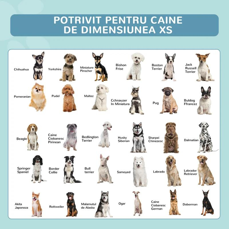Piscina pentru caini, PVC pliabila, albastru, 140x30 cm [5]