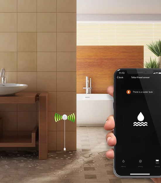 Senzor inundatie Smart, WiFi, Tellur, AAA, Alb [3]